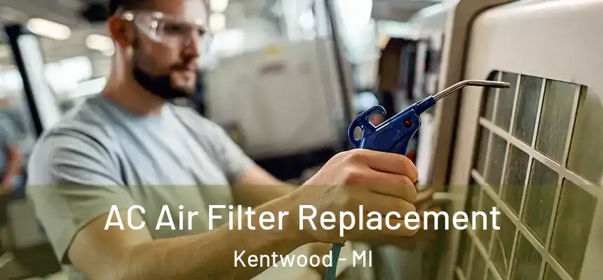 AC Air Filter Replacement Kentwood - MI