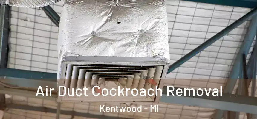 Air Duct Cockroach Removal Kentwood - MI