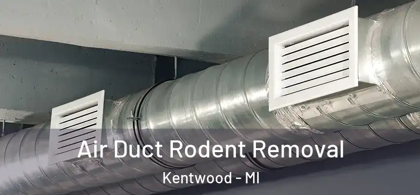 Air Duct Rodent Removal Kentwood - MI