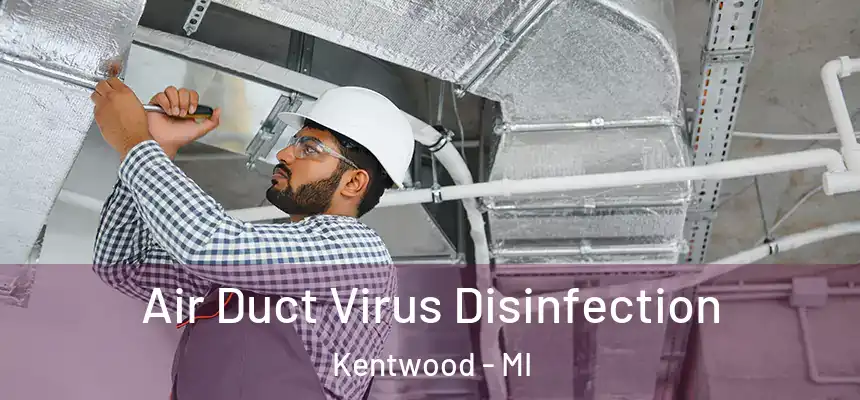Air Duct Virus Disinfection Kentwood - MI