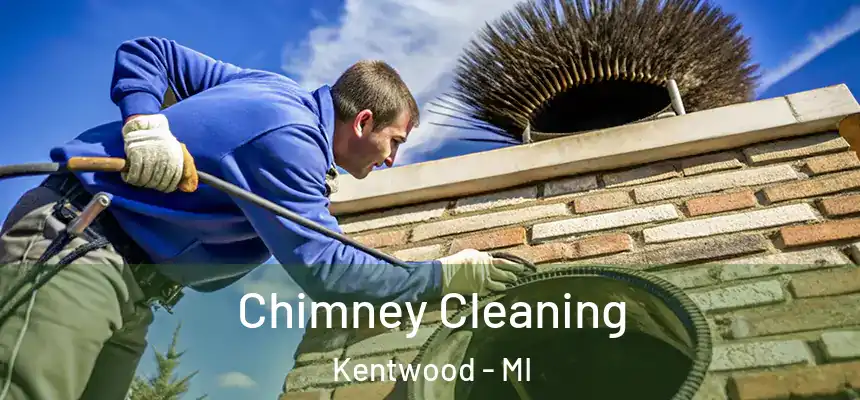 Chimney Cleaning Kentwood - MI