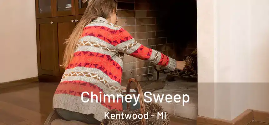 Chimney Sweep Kentwood - MI