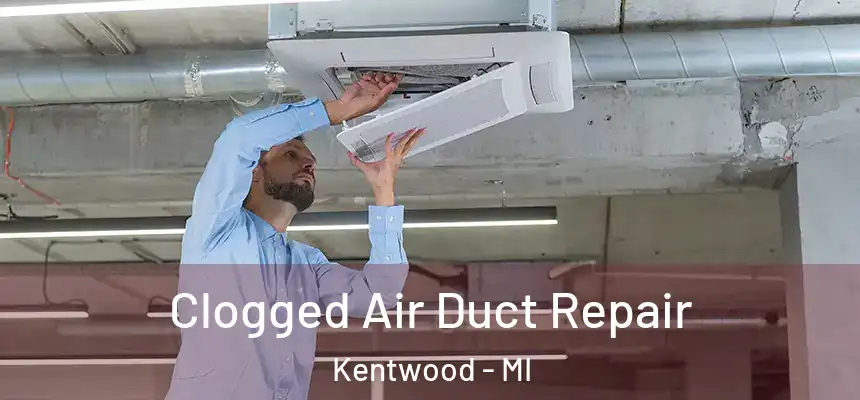  Clogged Air Duct Repair Kentwood - MI