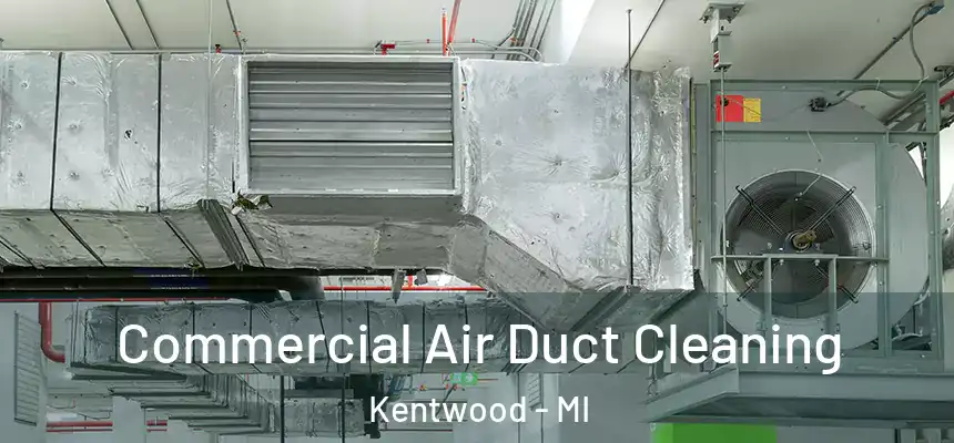  Commercial Air Duct Cleaning Kentwood - MI