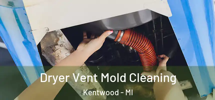  Dryer Vent Mold Cleaning Kentwood - MI