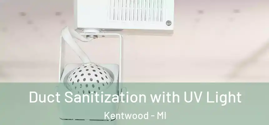  Duct Sanitization with UV Light Kentwood - MI