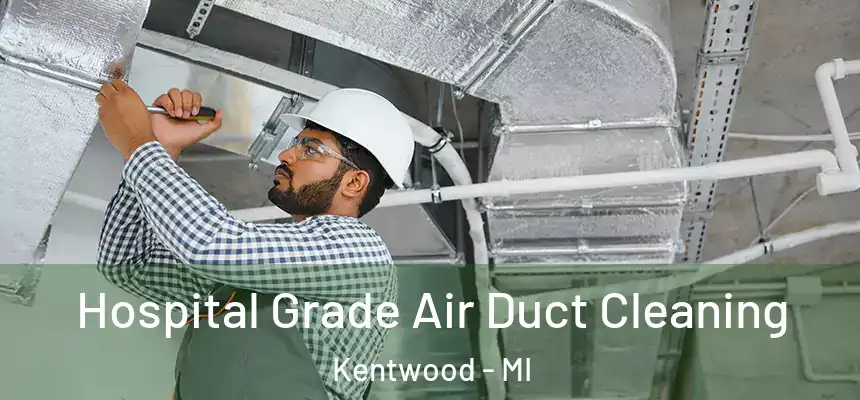  Hospital Grade Air Duct Cleaning Kentwood - MI