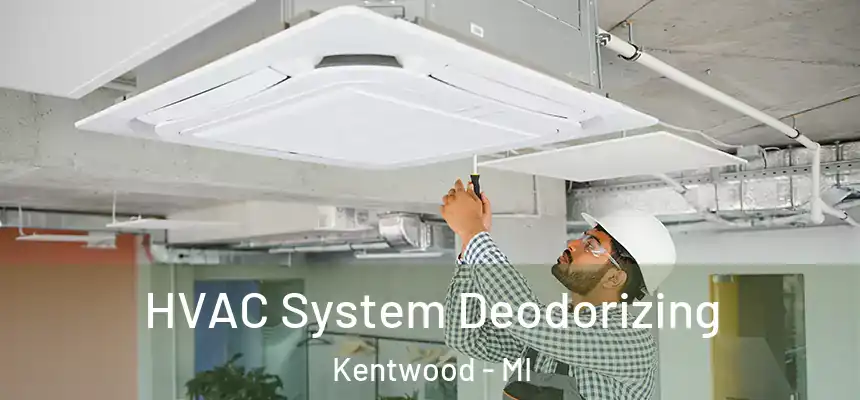 HVAC System Deodorizing Kentwood - MI