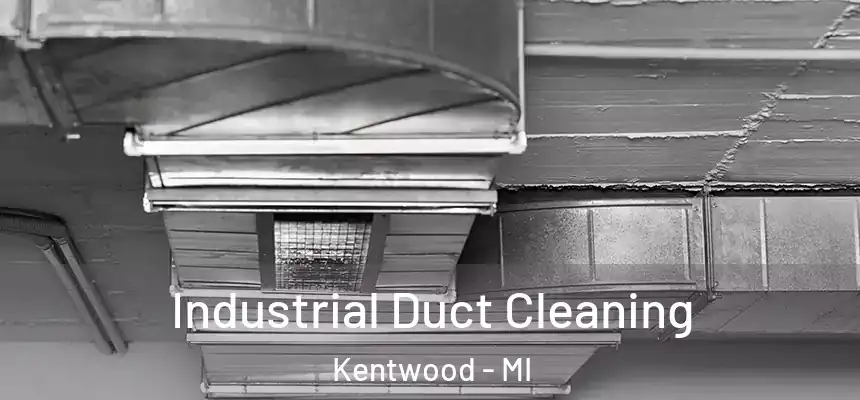  Industrial Duct Cleaning Kentwood - MI