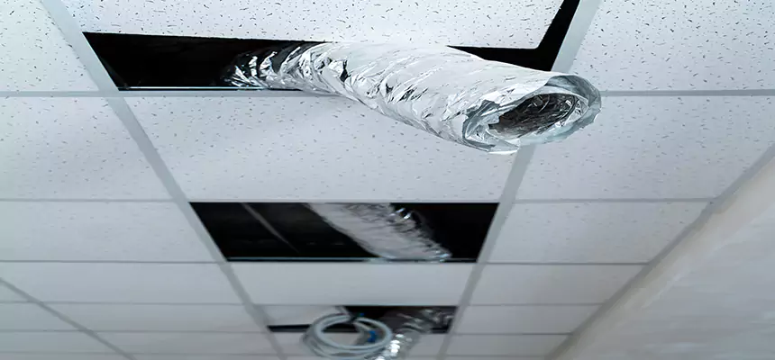 Our Air Duct Pet Hair Removal Services in Kentwood, MI