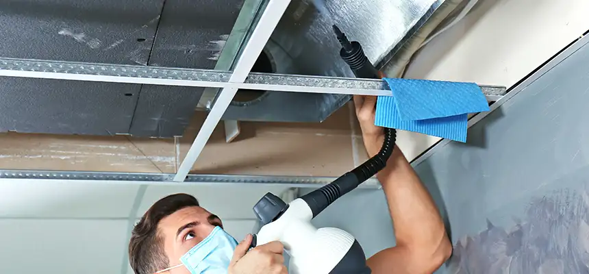Our Air Duct Rodent Removal Services in Kentwood, MI