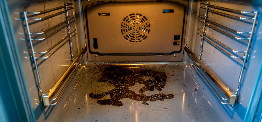 Our Dryer Vent Mold Cleaning Services in Kentwood, MI