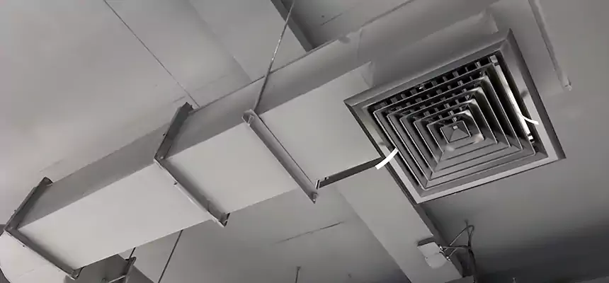 Our Pest Removal From Ducts Services in Kentwood, MI