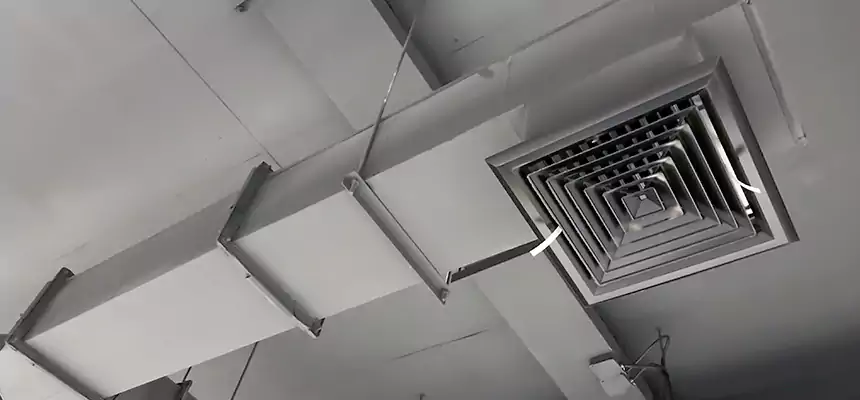 Our Rodent Droppings In Vents Services in Kentwood, MI