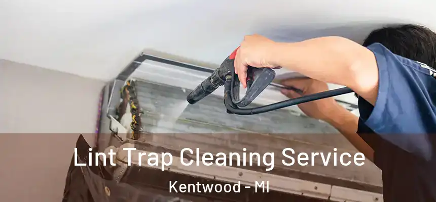 Lint Trap Cleaning Service Kentwood - MI