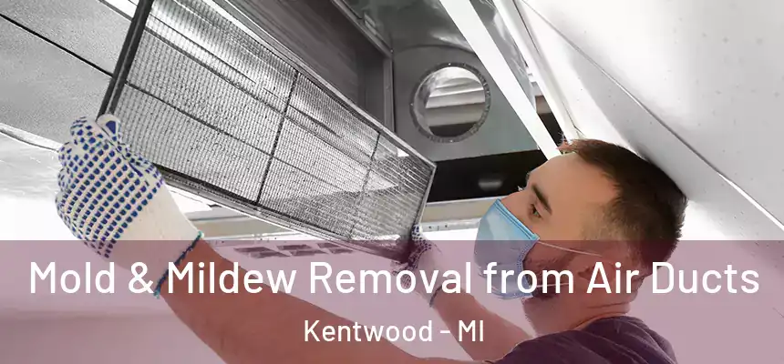 Mold & Mildew Removal from Air Ducts Kentwood - MI