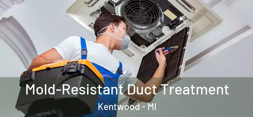  Mold-Resistant Duct Treatment Kentwood - MI