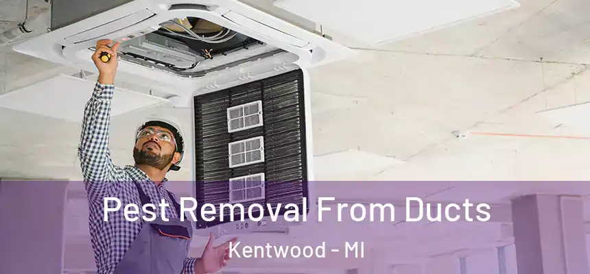 Pest Removal From Ducts Kentwood - MI