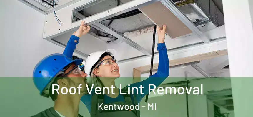  Roof Vent Lint Removal Kentwood - MI