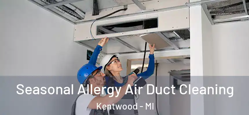  Seasonal Allergy Air Duct Cleaning Kentwood - MI