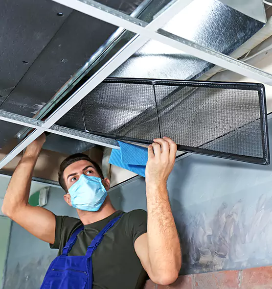 About Air Duct Bacteria Removal in Kentwood