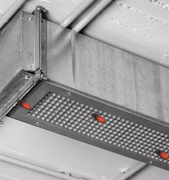 About Air Duct Cockroach Removal in Kentwood, MI