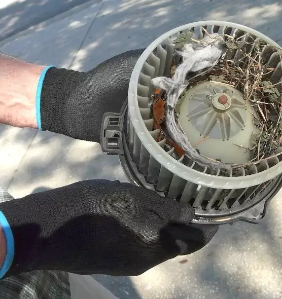 About Air Duct Mice Removal in Kentwood, MI