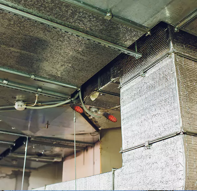 Why Homeowners & Businesses Trust Us in Kentwood, MI?