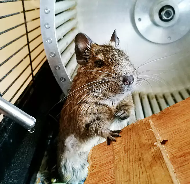 Why Homeowners & Businesses Trust Us Kentwood, MI