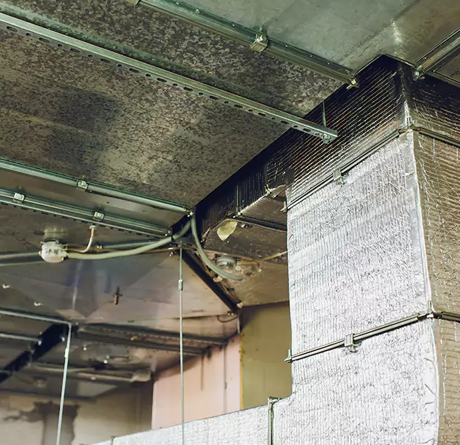 Why Homeowners & Businesses Trust Us in Kentwood, MI?